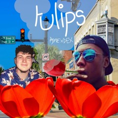 tulips ft.DEX (beat by Young $wisher)