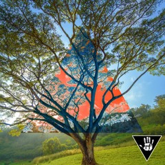 Rennie Foster - Pole Position (Auto Sound City Remix) - RF077