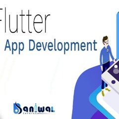 Flutter Application Development Company | Baniwal Infotech