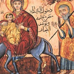 05 - يوليوس الأقفهصي