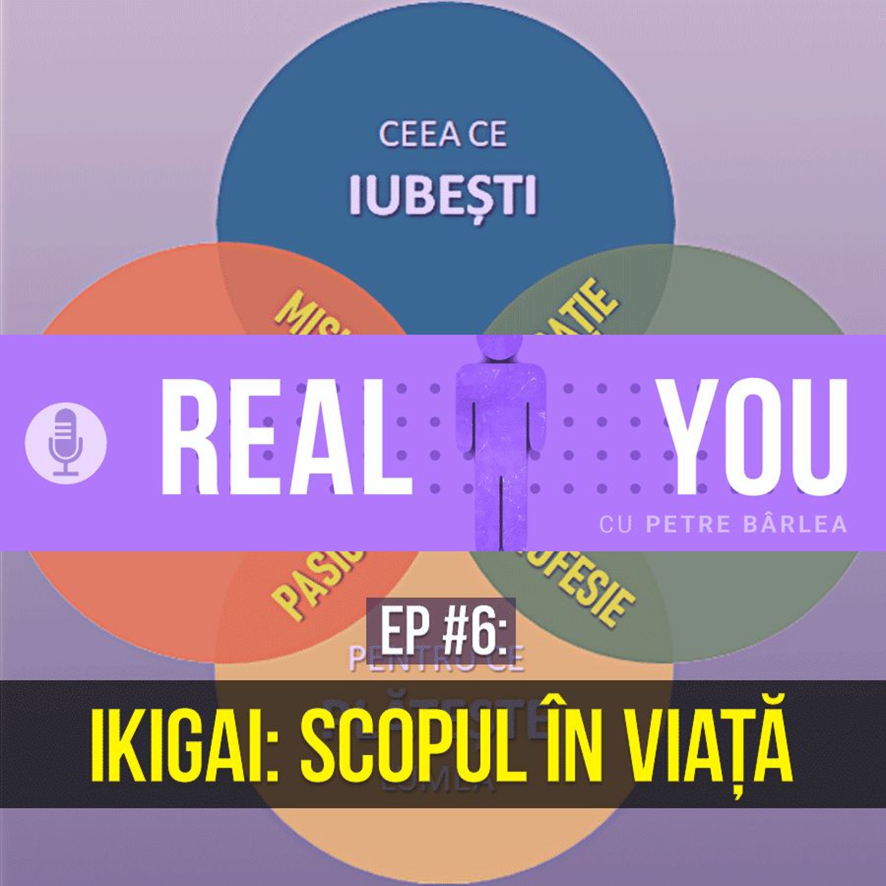 The Real You Podcast cu Petre Barlea