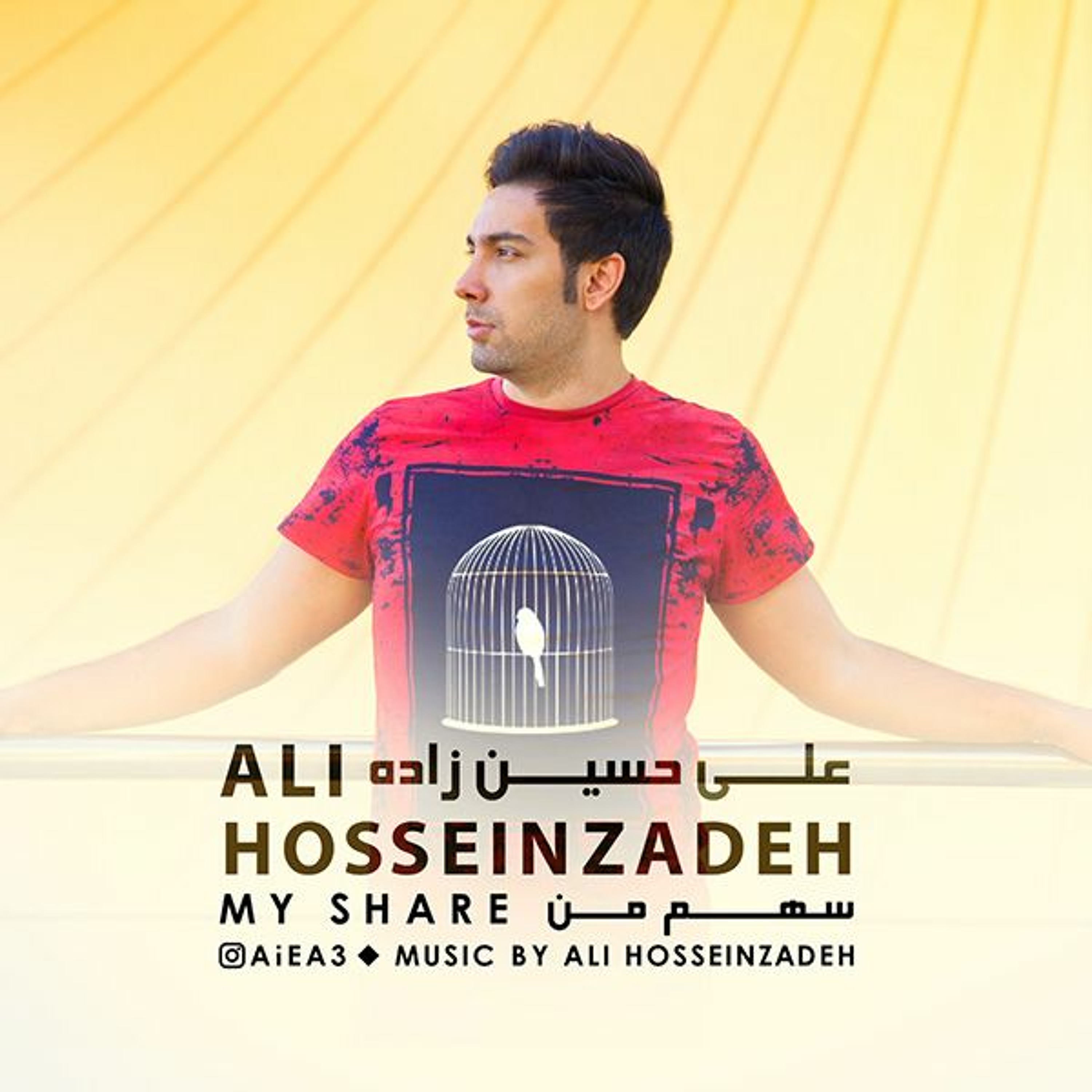 Ali Hosseinzadeh