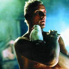 attack ships on fire off the shoulder of orion