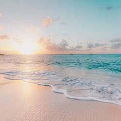 Sam_B - Party In The Summer