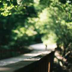 찬양의 제사 드리며