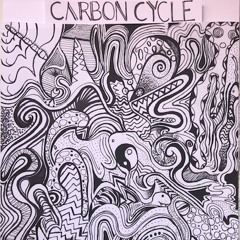 carbon cycle