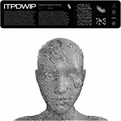 A2.ITPDWIP - Virtual Club Gaia - WERD Records