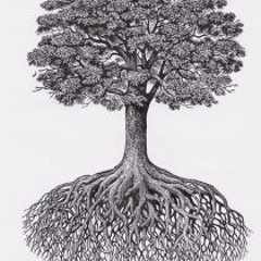 The Disintegration Loop
