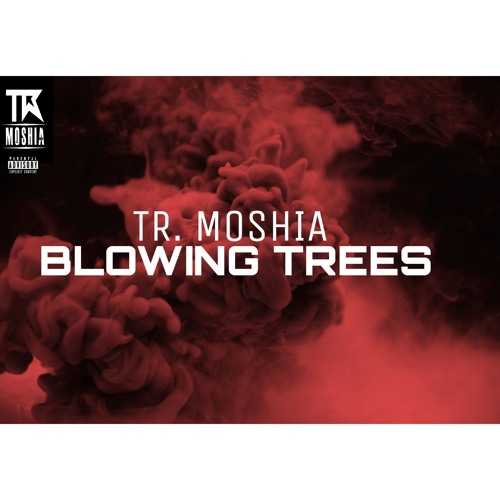 TR MOSHIA - BLOWING TREES (Video Version)