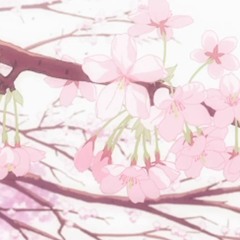 Txrbo - ดอกไม้ของผม