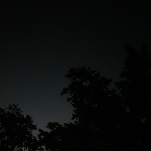 melatonin w/ musiciansplace