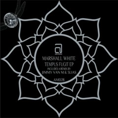 Marshall White Feat. Nathalie Gillabert - Ayahuasca Blues