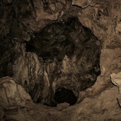 FENDERR. - CAVE