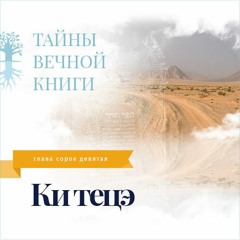 Недельная глава Торы Ки тецэ