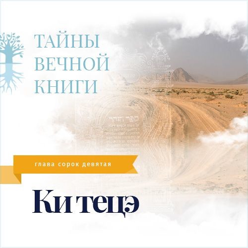 Недельная глава Торы Ки тецэ