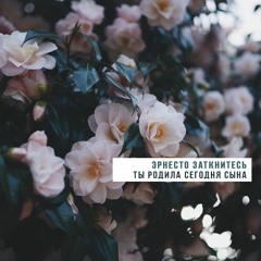 Эрнесто Заткнитесь – Ты Родила Сегодня Сына
