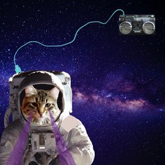 Space Cat