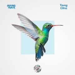 Houndtrack x Young Citrus ⁃ Hummingbird