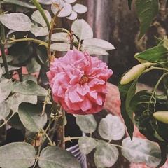 Ước thời gian - Audio - NHA
