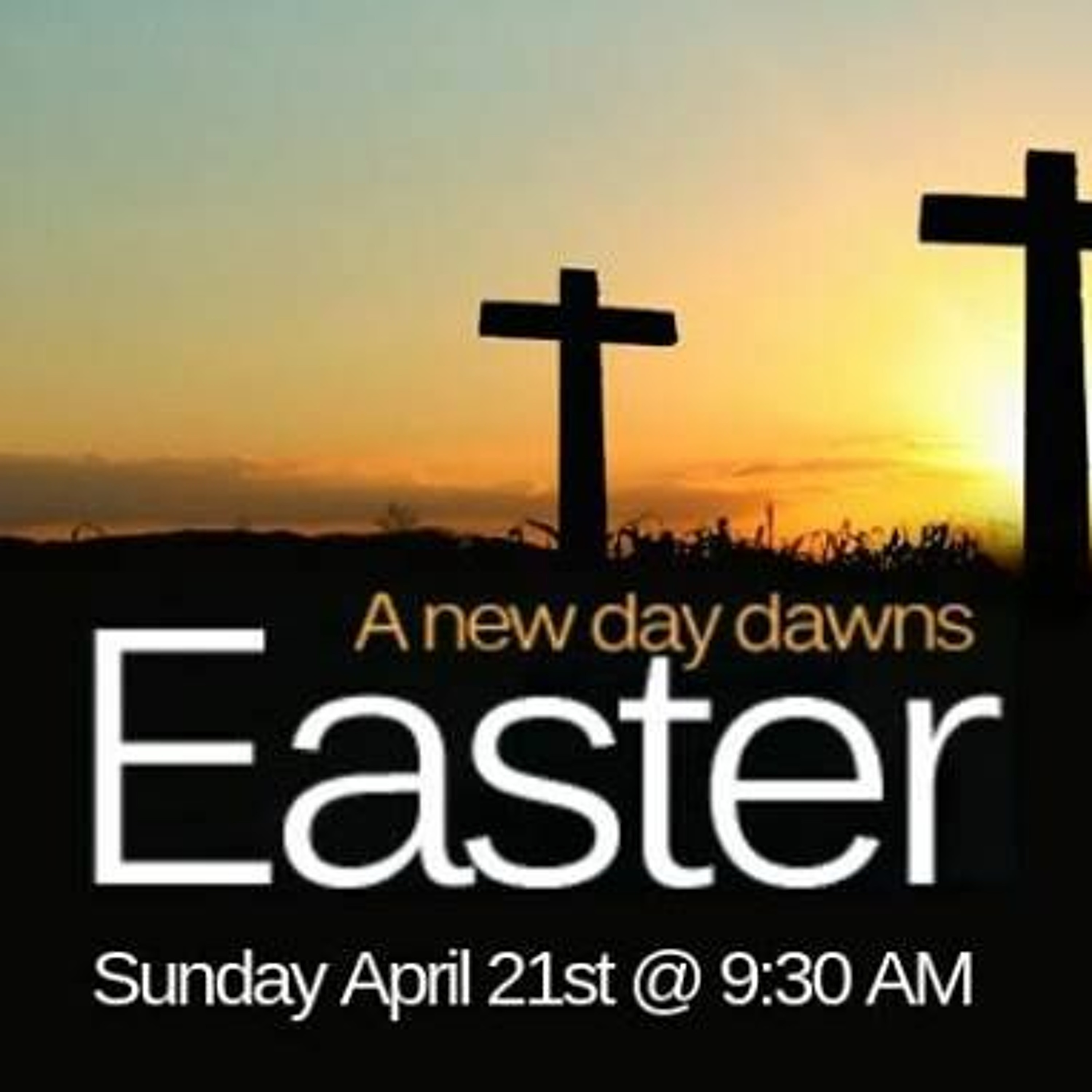 Wallet with holes? thumbnail