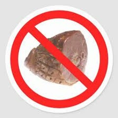 No Ham... ilton aka Not Gonna Break Shabbat