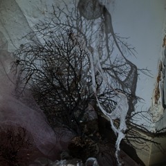 Hilos, fibras y recuerdos de amor