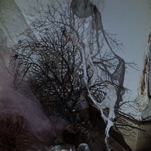 Hilos, fibras y recuerdos de amor