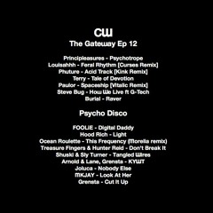 The Gateway With Craig Williams [Ep 12] Guest Label Psycho Disco Recs