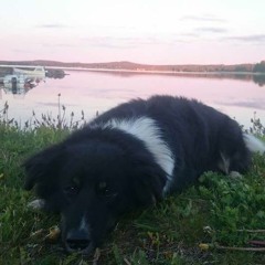 Macross Delta - Giraffe Blues (Tribute to Banshee)