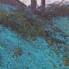 Song for a Love Long Gone