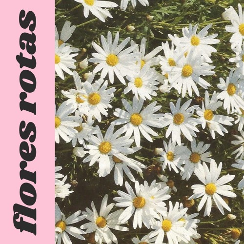 Flores Rotas ft 9ckles