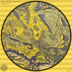 Andy Peimbert, Movi (MX) - Seagulls (Macassi Remix)