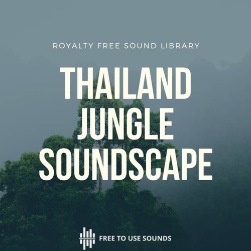 Stream Royalty Free Jungle Forest Sound Effects Thailand by  freetousesounds.com | Listen online for free on SoundCloud