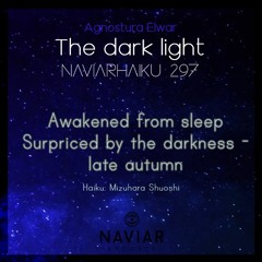 The dark light(naviarhaiku297)