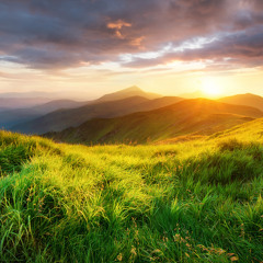 English - Day4 - The Source of Peace - Peace and planet nature