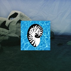 Night Ride w/ Kōyō