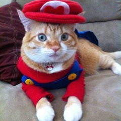 Jump Up, Superstar! Cover by Sofie Pedersen