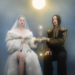 Rosa - Rosalia x Rafa Pabón x Sech Reggaeton/Flamenco Type Beat