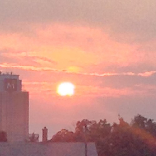 While The World Burns [Instrumental]