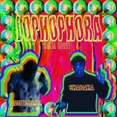 Lophophora ft Iamshabaka produced by Flowwy