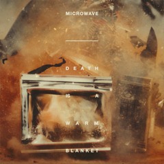 Microwave "Part Of It"