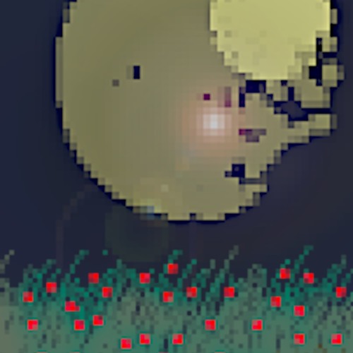 Videogame Sample