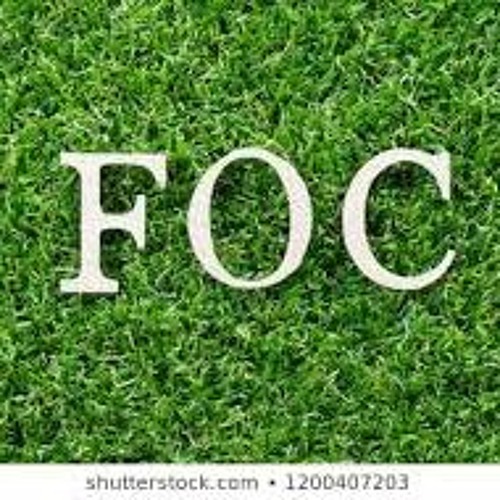 F O C (WE ALL GOT)