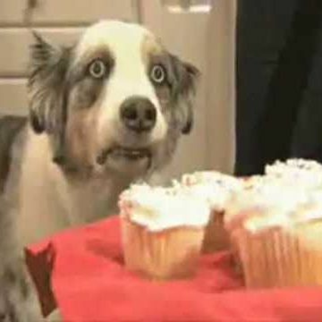 Stream flashbacks de vietnam by Charly Perro | Listen online for free on  SoundCloud