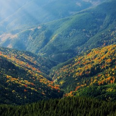 Heavenly Glow
