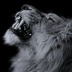 DJ RAM-You will be eternal..