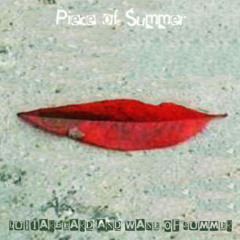 Piece of Summer (Guitarbeard / Wane of Summer)