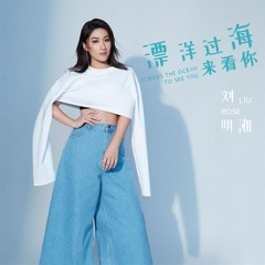 漂洋过海来看你 [Remix] | Vượt Qua Đại Dương Để Gặp Anh - Lưu Minh Tương