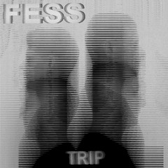 FESS - Unnecessary Problems - PARKETT PREMIERE