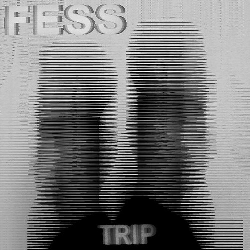 FESS - Unnecessary Problems - PARKETT PREMIERE